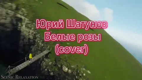#песня #песнядлядуши #песнягода #cover #DjShark 