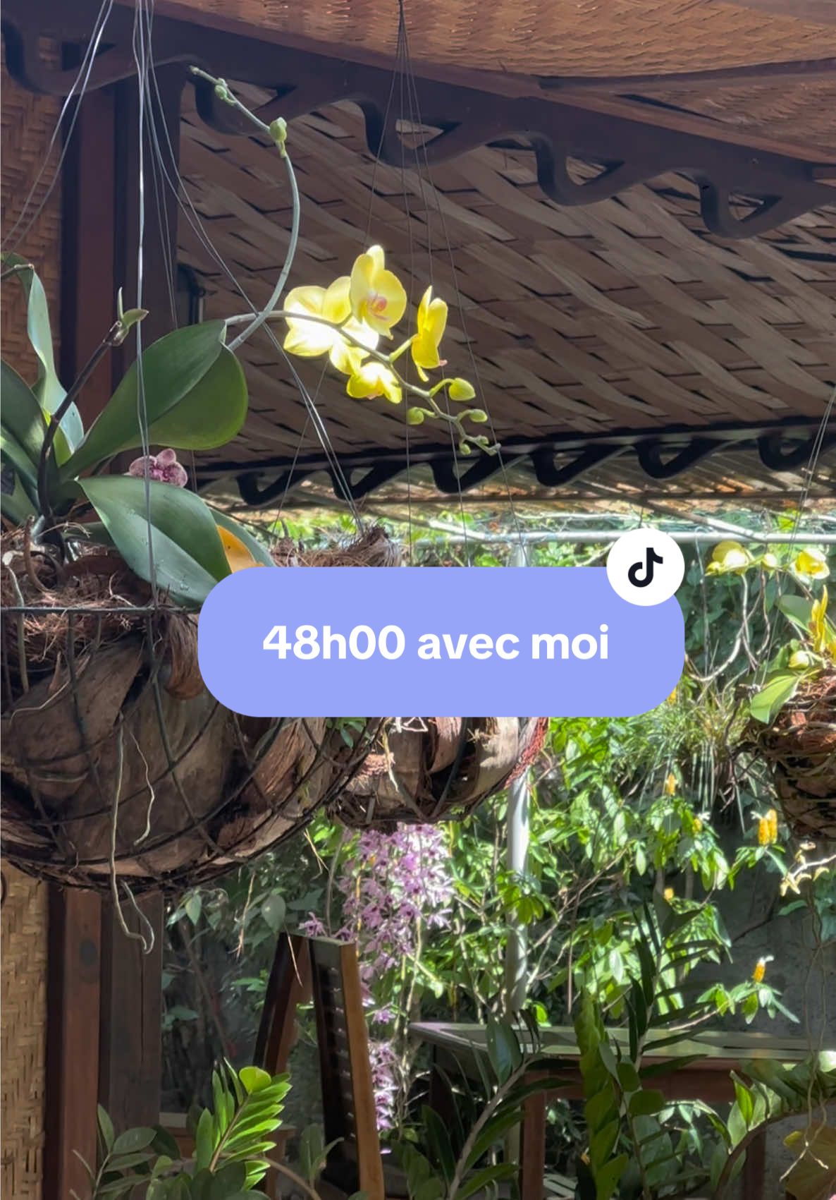 🥹 voilà mon week-end et vous ?  #tahiti #goodvibes #pourtoi #tiktoktahiti #fyp 