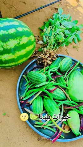 خيرات بلدنا 🍋‍🟩 بطيخ 🍉 باميه 🫛فول🥜🥜🥜 لوبى 🫘🫘🫘🫘🫘🫘 #فول_سوداني_اصلي🥜 #خيرات_بلادي #كارتا_حفظه_الله🇸🇩 #جنقو_مسامير_الأرض🇸🇩🇸🇸جنقوكالي #مشاهير_كردفان_بارا_القفله_المزروب🇸🇩 @أسمري 2 🤍—❤️Asmri🥷🏻 