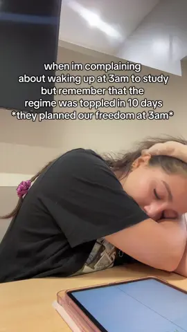 imagine the sleepless nights the revolutionaries had for 14 years 😮‍💨🇸🇾 #syria🇸🇾 #ArabTikTok #syriantiktok 