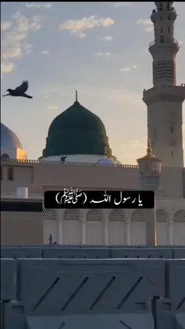 یا رسول اللّٰہ غم کے ماروں کا اسرا تم ہو
