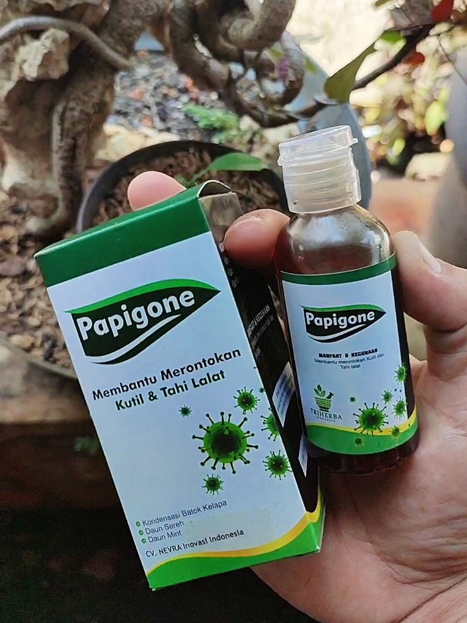 kutil & tahi lalat emng bikin insecure 😷 #kutil #penghilangtahilalatdankutil #penghilangtahilalat #penghilangkutil #papigone 