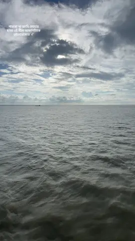 One of my best video🕊️ #nahideditz#foryoupage#naturelover#beutifulnature_🌳 