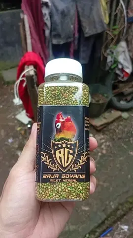 PAKAN MEDIUM RAJAGOYANG MILET LOVEBIRD