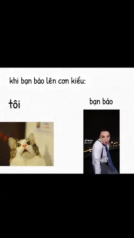 khi bạn bảo lên cơn kiểu:🤣🤣🤣🤣🤣 ủng hộ tui một tim đi ❤️ shop cảm ơn ✨