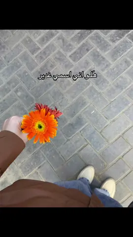 #fyp #rival #فلو_من_لكسبلور💛 #اكسبلور 