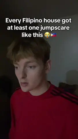 Every Filipino 🇵🇭 house got at least one jumpscare like this (joke) 😭 #philippines🇵🇭tiktok #philippines #fyp #tiktokph #filipino 