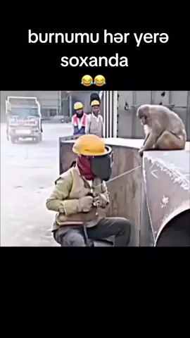 #keşvett 