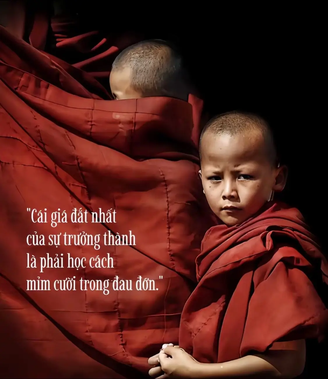 Không tiền, không bạc sao vui được nàng.! Nàng thì lá ngọc cành vàng, còn ta chuột cống lang thang ven đường.!