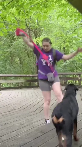 It resembles me so much that I can’t believe it’s not my child.#dog #funny #fyp #funnyvideos 