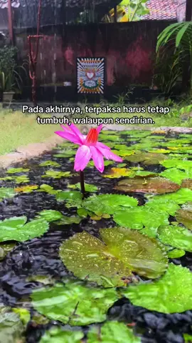 #psht #pshtpusatmadiun #terate #pshtstory #pshtindonesia22 #pshtbojonegoro 