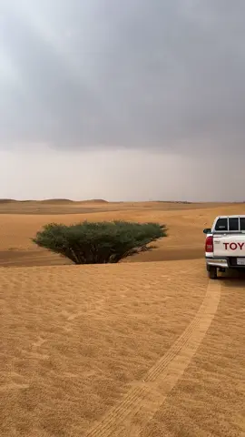 #امطار_الخير#نجران #خباش#عرق_الجعلة #اكسبلور #ف #تصويري_احترافي_الاجواء👌🏻🕊😴 