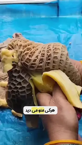 برای لاغر شدن به واتساپ زیر پیام بدین 00989232343922 +989232343922