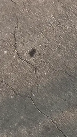 #astreagrand #astreagrandindonesia #fyp #foryou #xybca 