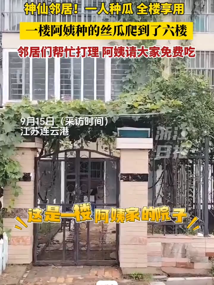 一人种瓜 全楼享用！ 一楼阿姨种的丝瓜爬到了六楼 邻居们帮忙打理 阿姨请大家免费吃（素材来自：@李源（连云港丝瓜哥）来源：浙江日报 ）#中国蓝国际culture