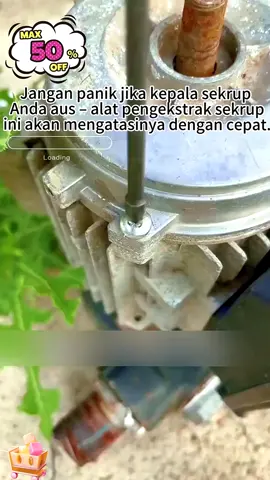 Jf16 Alat Pengangkat Sekrup 25-Piece untuk Menghilangkan Sekrup Rusak