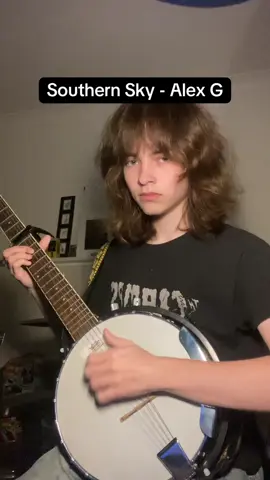 I saw a ladybug crawling on me after filming #alexg #musician #cover #guitar #banjitar 
