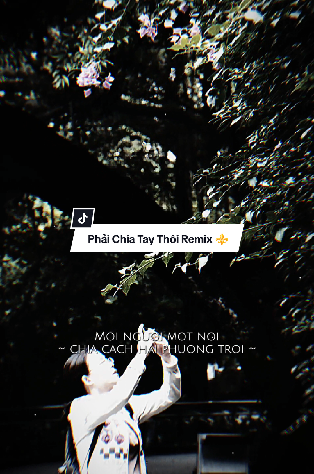 Mỗi người một nơi chia cách hai phương trời tìm hạnh phúc mới.. | Phải Chia Tay Thôi Remix ⚜️ #CapCut #EditTemplateCapCut #PhaiChiaTayThoi #MinhSang #giatgiat 