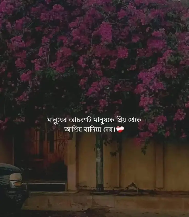 #foryou #unfreezemyacount #fypシ #bdtiktokofficial #foryoupage 