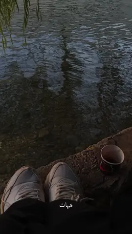 #CapCut *`ـ لكل متابعيني`* *أسـألُ اللَّــٰــه أَنْ لَا يُــؤذى أَحـدٌ مِنڪُم فـى قَـلبِـــه ،، وأن تڪون الدنيـاا خفيفـة هيّنـة على أرواحڪم.* *فـ بـسـم اللَّــٰــه على قلوبڪم حتى تهدأ وتطمئن وتطيب وتُجبَـر وحتى يعوّضهـاا اللَّــٰــه عن ڪل مُـر ويجبرهـاا ويڪسوهـاا بالسعادة والفرح