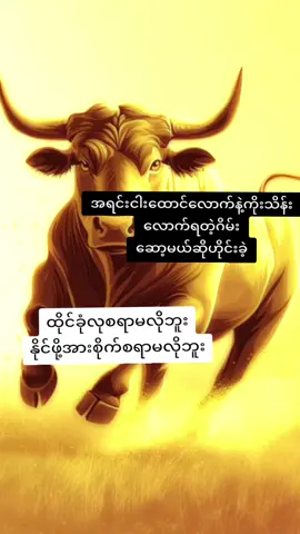 #CapCut #fyppppppppppppppppppppppp #ဒီတစ်ပုဒ်တော့fypပေါ်ရောက်ချင်တယ် 