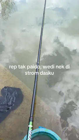 angel wes musoh wong pln kali 😂 #tukangmancing #mancingmania #mancingliar #microfishing #foryou 