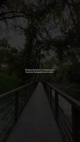 ән мен фон телеграмда