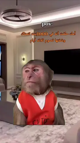 #Meme #MemeCut #CapCut 