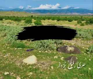 #_میری_یہ_ویڈیو_وائرل_کرا_دو_ددوست 