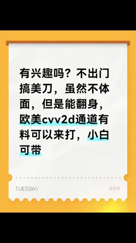 全欧美cvv2d通道来打手，小白可带#兼职副业 #在外华人 #灰产 