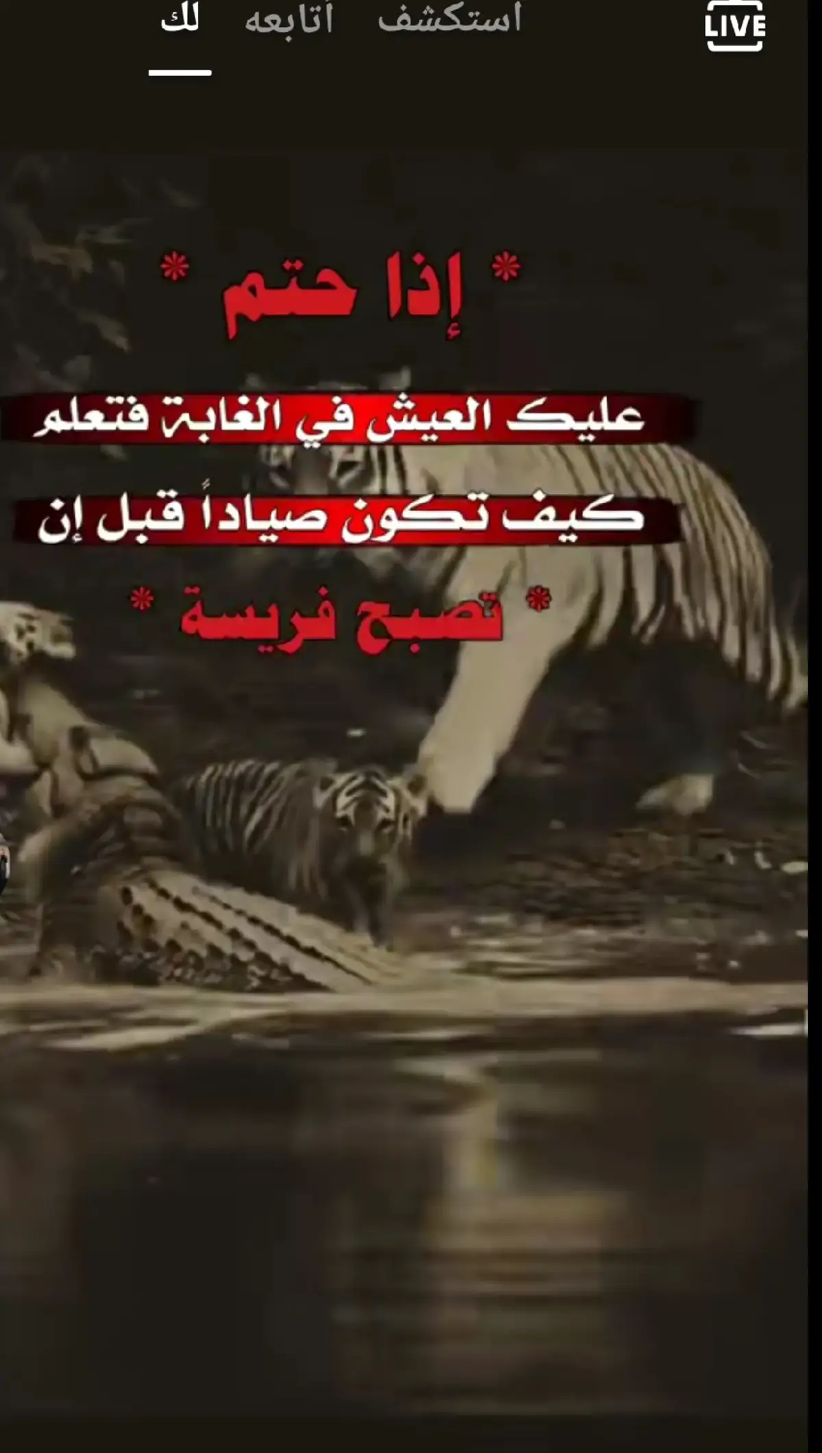 #فولوــــــــــــــــ_متابعه_ــــــــــــــــــــاكسبلور #عبارات_جميلة_وقويه😉🖤 #تصميم_فيديوهات_اقوي #اكسبلورexplore 