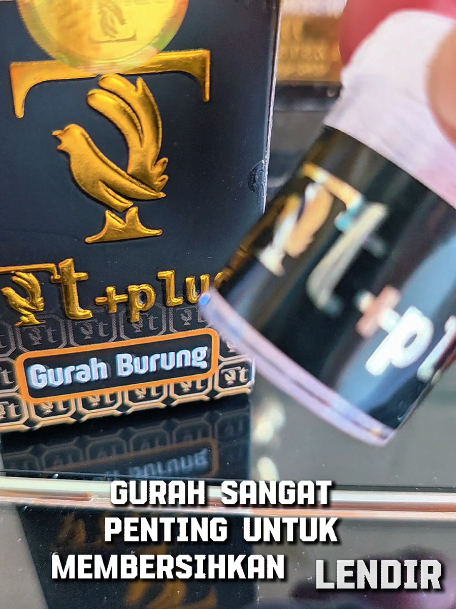 gurah ttplus #gurahburung #gurahmuraibatu #ttplusgurahburung #ttplus #ttplusviral 