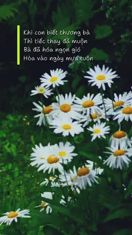 Bà luôn đợi 1 điều là sự sum vầy, để có thể gọi tên từng đứa một trước khi ngày đó tới... #xuhuongtiktok #giataicuangoai #tamtrang #yeuthuong #thamngoai 