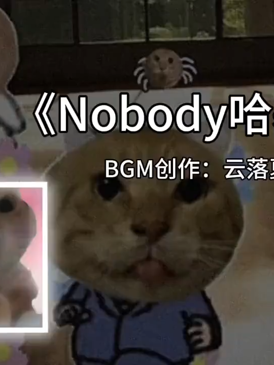 哈基米哈基米曼波~#shorts #哈基米 #music