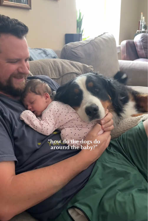 Dog and baby ❤️#dog #pet #baby #bestfriend #cute #puppy #Love #dogsoftiktok #dogsoftiktok #foryou #usa🇺🇸 