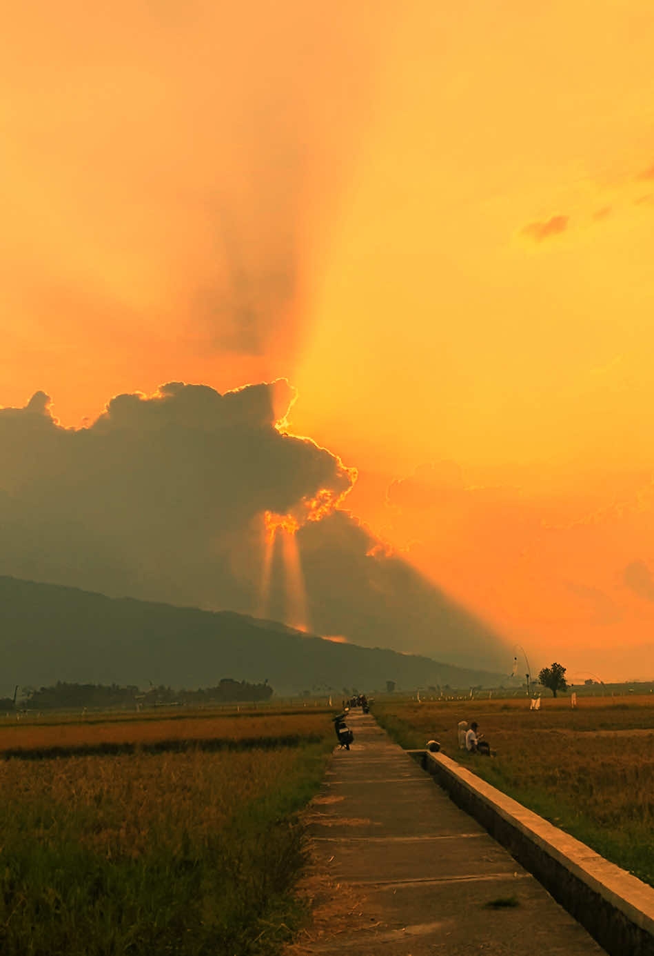 الحب الجميل الحب الذي لا يجتمع لكن يفتقد بعضنا البعض 