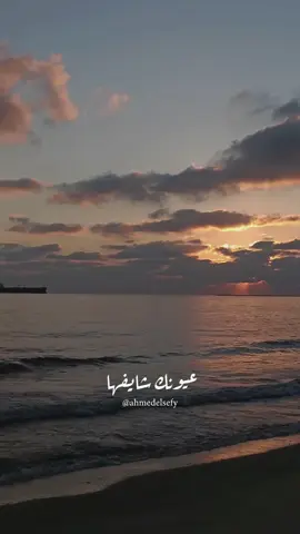 عيونك شيفها وحاسس ان انا عارفها🌊❤️ 🎥 ahmed_elsefy_pg  #portsaid #portsaidcity #egypt #view #sea 