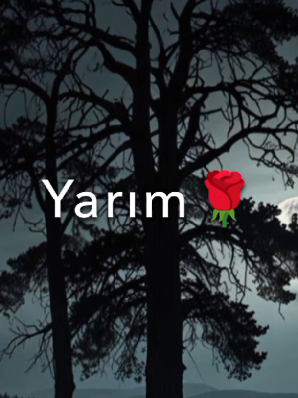 Tutmaz E Buda🥲❤️‍🩹,#bututmalıdı📌 #keşfetttttttttttt #keşfetteyizzz #sevilirsiz🐣💜dəyərlisiz👑bəyən #keşfettttttttttttbeniöneçıkarrrrrrrrrrrr 