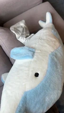 #raysurf #softtoys #plush #cutetoys #plushtoy 
