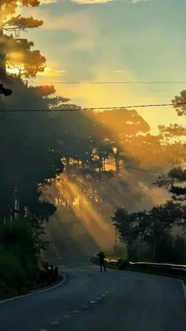 Dalat những ngày yên bình #dalat #chill #fyp #dalattrip #tiktoktrevel #dalatmemories #