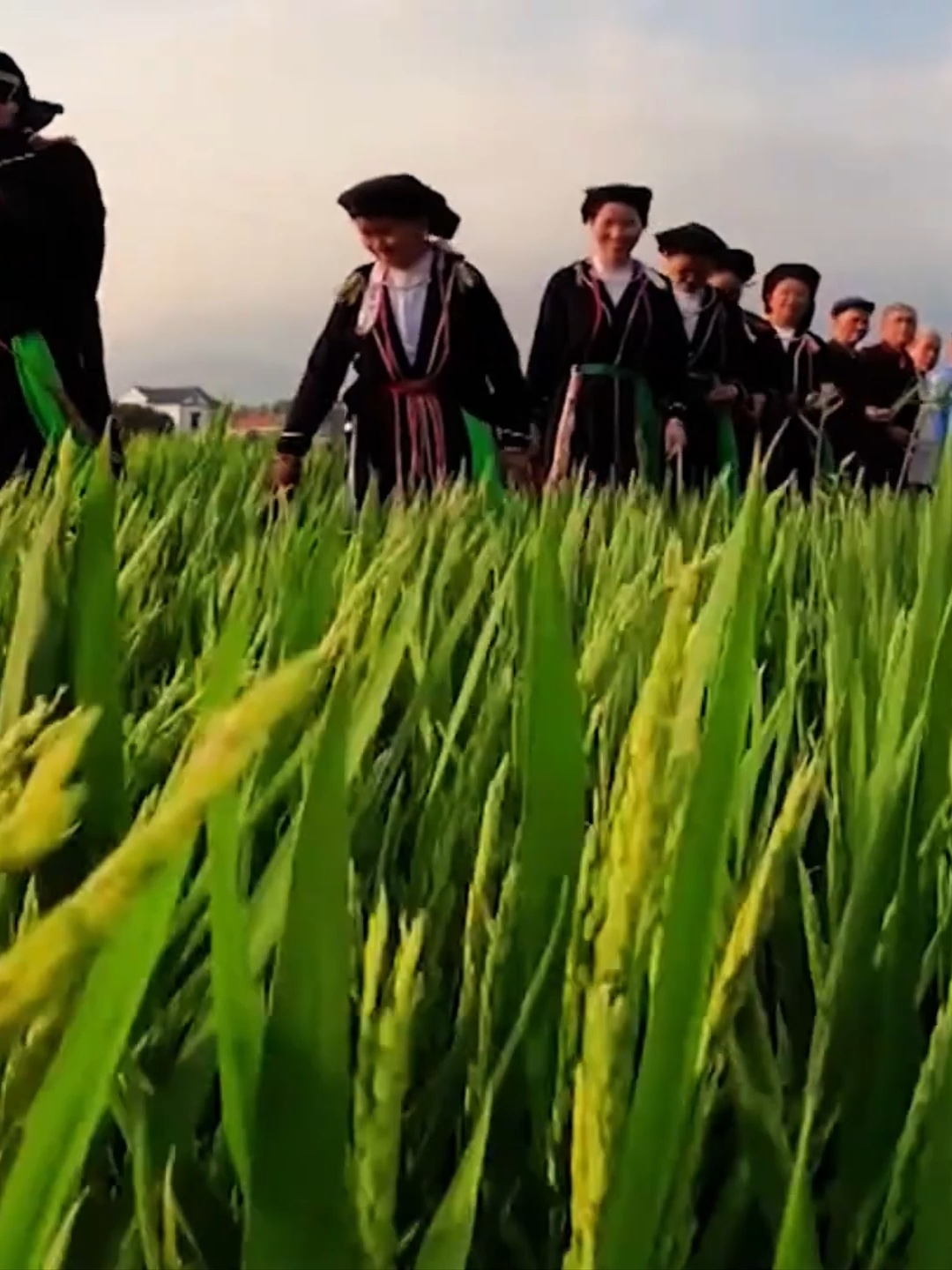 🗣️ Ngôn ngữ dân tộc Sán Dìu Người Sán Dìu sử dụng ngôn ngữ Hán Nôm - Sán Dìu. Trong sinh hoạt và đặc biệt qua những làn điệu Soọng Cô, tiếng nói Sán Dìu vang lên như linh hồn văn hóa. Ngày nay, đồng bào vừa dùng tiếng Việt, vừa nỗ lực giữ gìn tiếng mẹ đẻ để bảo tồn bản sắc dân tộc. #tinhhoataybac #thukagarden