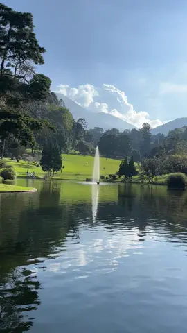 Tempat buat menemukan ketenangan ..🌿 #kebunrayacibodas  #cianjur