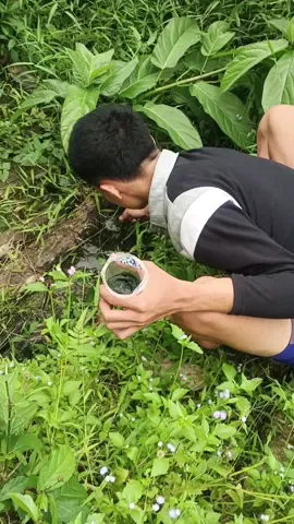 Nyari lumut buat mancing #alam 