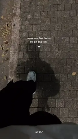 ඔයා හරි ලස්සනට රඟපානවා  ! ☺️🤍 #myself❗️ #fyp #foryoupage #viralvideo #sinhalaquotes 