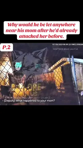 #cops #crime #truecrime #copsoftiktok #law 