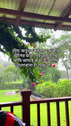 #foryou #tiktok : হটাৎ অনুভব করলাম সে আর আগের মতো নেই;তার চোখে আমি আমার জন্য ঐ আগের ভালোবাসা টা দেখি না!❤️‍🩹