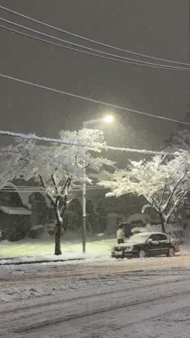 Seoul  tuyết rơi mua thu tháng 9...#유학생🇰🇷🇻🇳 #hànquốc🇰🇷 ##xuhuongtiktok 