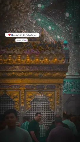 ‏ومرادك بإذن الله آتِ اليك..#باسم_الكربلائي #ضريح_ابي_الفضل_العباس #كربلاءالمقدسه #تصويري_احترافي_الاجواء👌🏻🕊😴 #كرارالكربلائي♡ #محمد_باقر_الخاقاني #سيدسلام_الحسيني #باسم_الكربلائي 
