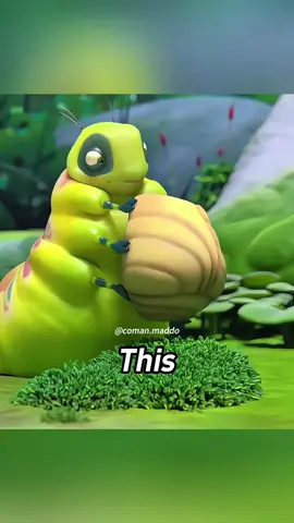 This caterpillar only became a butterfly for one second.#shorts #tiktok #anime #foryou 