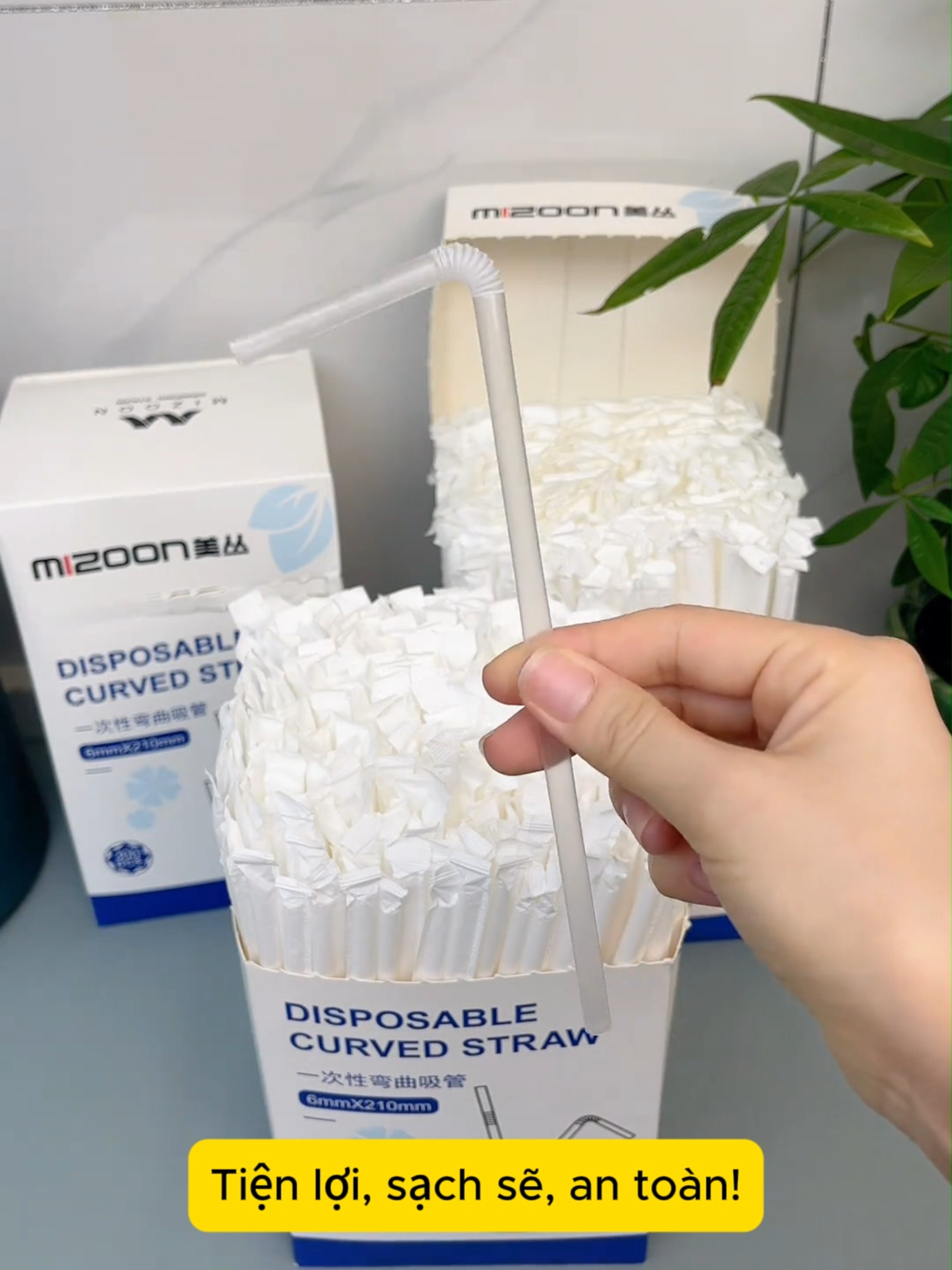 Hộp ống hút nhựa trong suốt dùng một lần #onghutnhua #onghuttrongsuot #onghut